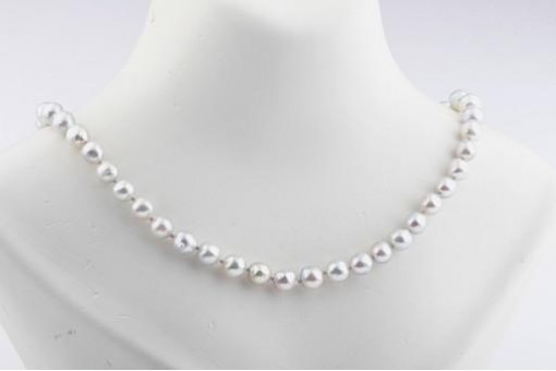 Schöne Akoya Perlenkette mit 585 Weiß Gold Verschluss Top!